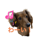 カニンヘン兄弟2（個別スタンプ：23）