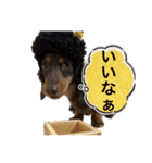 カニンヘン兄弟2（個別スタンプ：28）