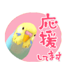 【セキセイインコ】動く！ペットたち（個別スタンプ：1）