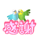 【セキセイインコ】動く！ペットたち（個別スタンプ：10）