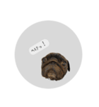 ぱんちゃんともっぷとAIPANG（個別スタンプ：14）