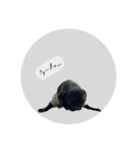 ぱんちゃんともっぷとAIPANG（個別スタンプ：32）