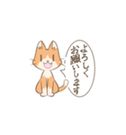 敬語のあいさつねこ（個別スタンプ：1）