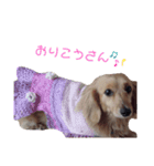 ツナぴよ⑥（個別スタンプ：8）