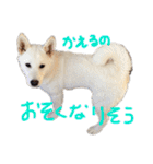 もなんご☆（個別スタンプ：6）