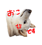 もなんご☆（個別スタンプ：8）