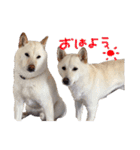 もなんご☆（個別スタンプ：24）