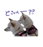 もなんご☆（個別スタンプ：32）