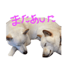 もなんご☆（個別スタンプ：33）