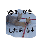 もなんご☆（個別スタンプ：36）
