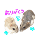 もなんご☆（個別スタンプ：40）