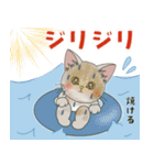 仔猫のぽんにゃん【夏＊天気編】（個別スタンプ：13）