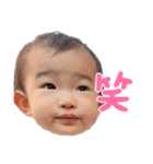hys9（個別スタンプ：11）