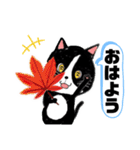 猫のさくらの日常にゃんです 2です。（個別スタンプ：15）