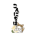 【Big】シーズー犬 113『縦長』着ぐるみ(2)（個別スタンプ：5）