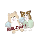 柴犬＆シェルティ基本の動くアニメスタンプ（個別スタンプ：7）