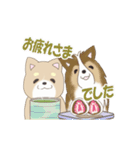 柴犬＆シェルティ基本の動くアニメスタンプ（個別スタンプ：9）