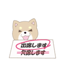 柴犬＆シェルティ基本の動くアニメスタンプ（個別スタンプ：14）