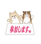 柴犬＆シェルティ基本の動くアニメスタンプ（個別スタンプ：16）