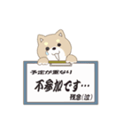 柴犬＆シェルティ基本の動くアニメスタンプ（個別スタンプ：17）