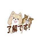 柴犬＆シェルティ基本の動くアニメスタンプ（個別スタンプ：18）