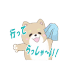 柴犬＆シェルティ基本の動くアニメスタンプ（個別スタンプ：23）