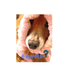 ユキミキ⭐︎パラダイス（個別スタンプ：2）