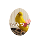 ユキミキ⭐︎パラダイス（個別スタンプ：6）