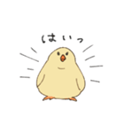 健やかなひよこ（個別スタンプ：1）