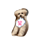 愛しのフランたん（個別スタンプ：1）
