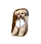 愛しのフランたん（個別スタンプ：3）