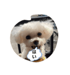 愛しのフランたん（個別スタンプ：7）