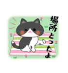 春ですね♪和風ねこスタンプ（個別スタンプ：9）