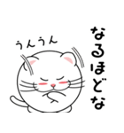 猫丸はん（個別スタンプ：16）