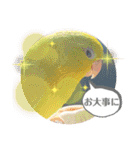 マメルリハ達5（個別スタンプ：6）