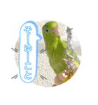 マメルリハ達5（個別スタンプ：9）
