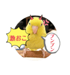 マメルリハ達5（個別スタンプ：10）