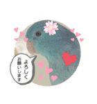 マメルリハ達5（個別スタンプ：11）