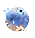 マメルリハ達5（個別スタンプ：12）