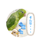 マメルリハ達5（個別スタンプ：13）