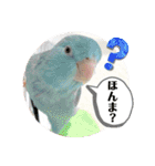 マメルリハ達5（個別スタンプ：15）