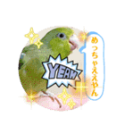 マメルリハ達5（個別スタンプ：21）