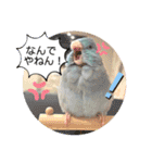マメルリハ達5（個別スタンプ：23）