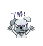 武瑠の番犬 BURU（個別スタンプ：1）