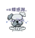 武瑠の番犬 BURU（個別スタンプ：8）