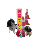 働くお犬様♡カッコイイ（個別スタンプ：24）