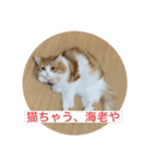 マンチカンのもなかさん（個別スタンプ：15）