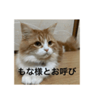 マンチカンのもなかさん（個別スタンプ：18）
