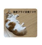 マンチカンのもなかさん（個別スタンプ：30）