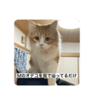 マンチカンのもなかさん（個別スタンプ：32）